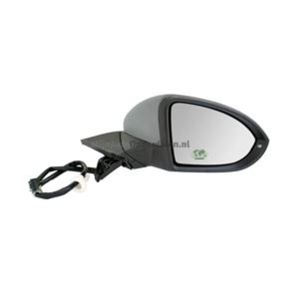 Bodermann Buitenspiegel links 9220082