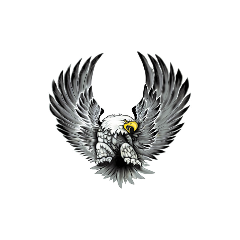 Mijnautoonderdelen AutoTattoo Eagles 2x 15x14,5 cm (30 AV 106008