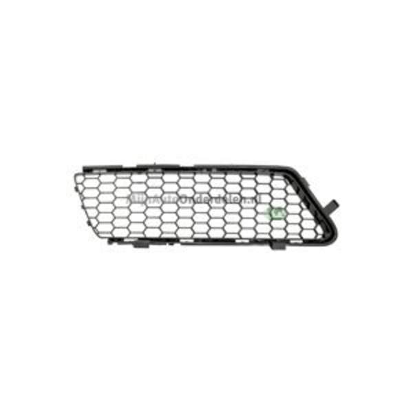 Grille Bodermann 0433363