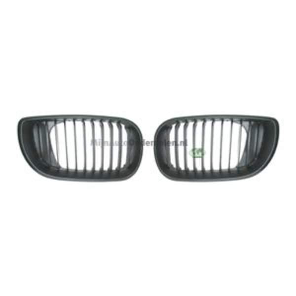 Grille Bodermann 1637360