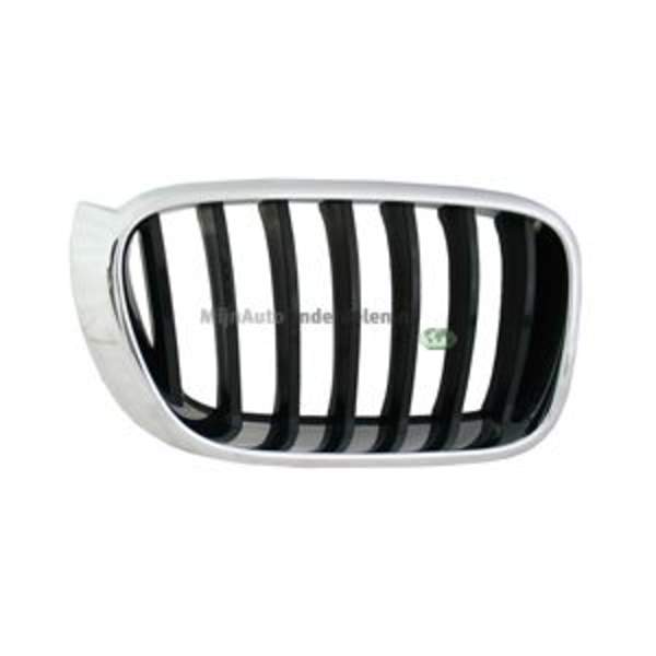 Grille Bodermann 1643351