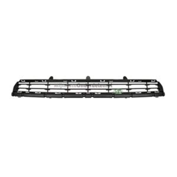 Grille Bodermann 2034355