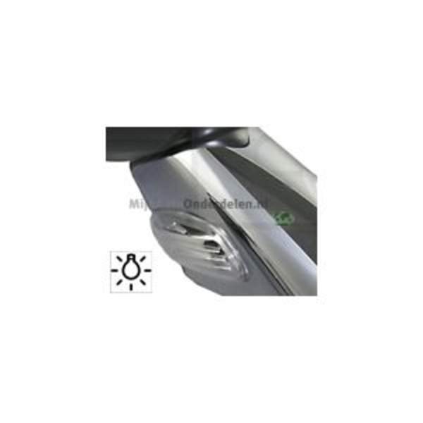 Bodermann Buitenspiegel 2062083