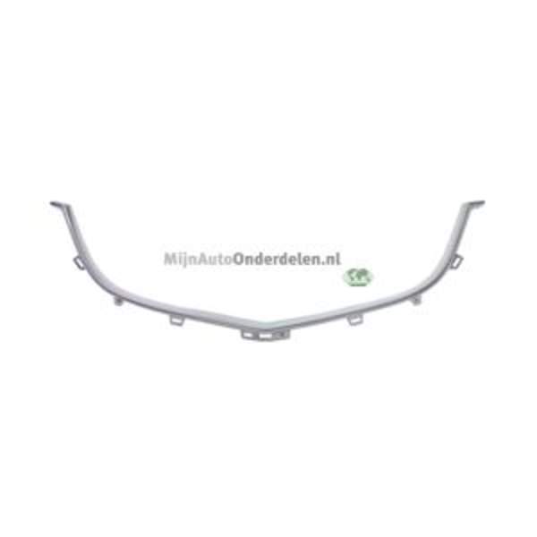 Grille Bodermann 5605360