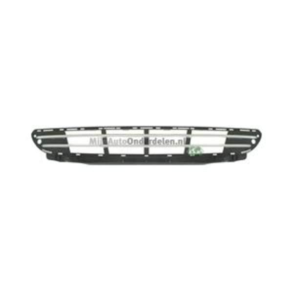 Grille Bodermann 6027365