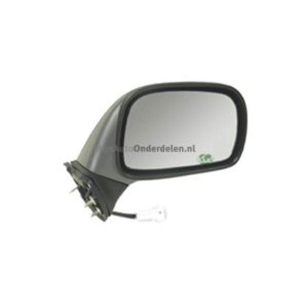 Buitenspiegel Bodermann 6405087