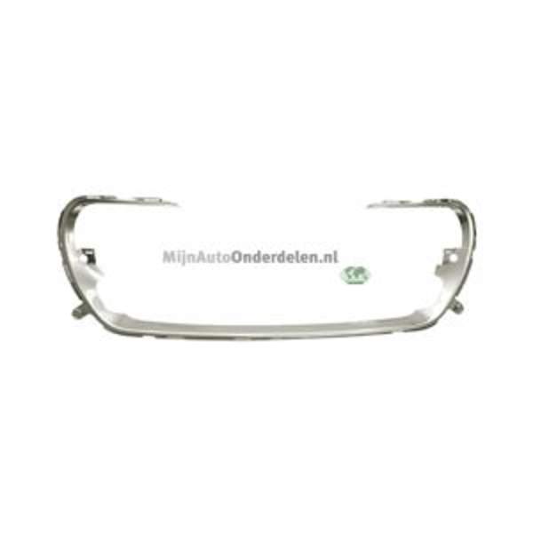 Grille Bodermann 6803380