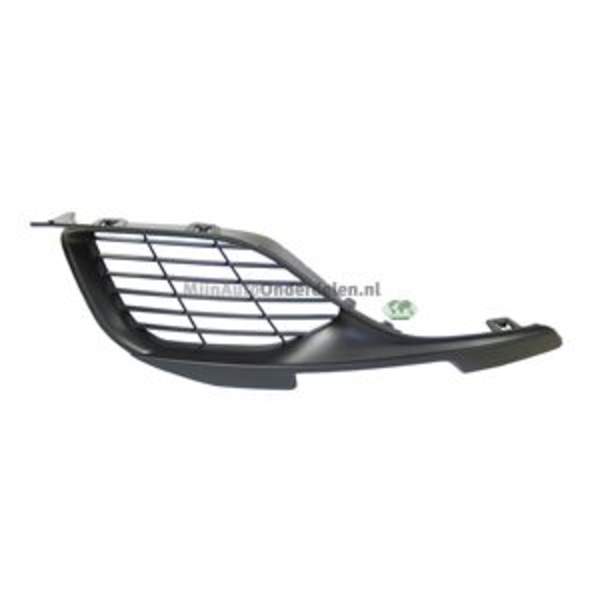 Grille Bodermann 6805363