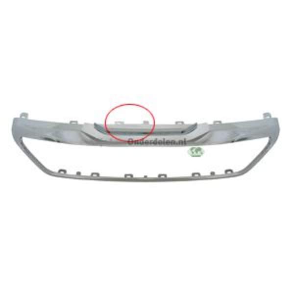 Grille Bodermann 6805380