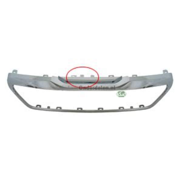 Grille Bodermann 6805385