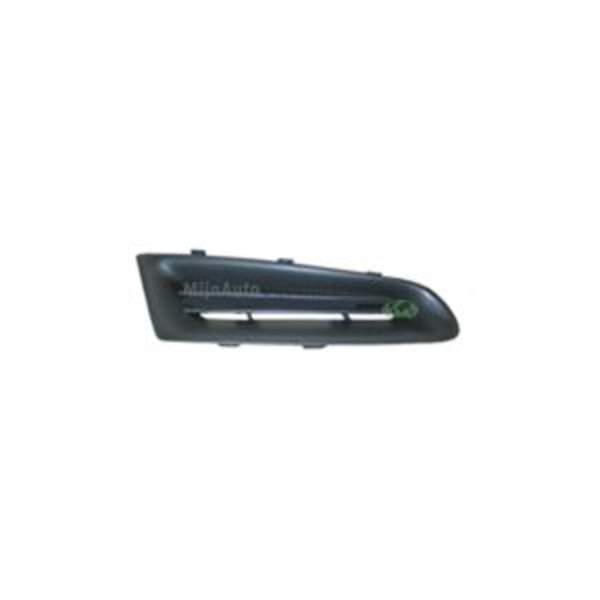 Grille Bodermann 7202381