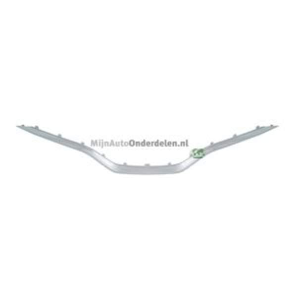 Grille Bodermann 7285390