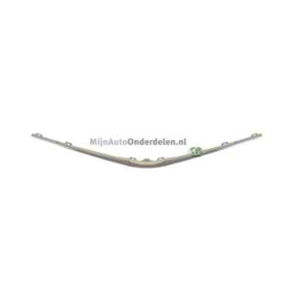 Grille Bodermann 8809353