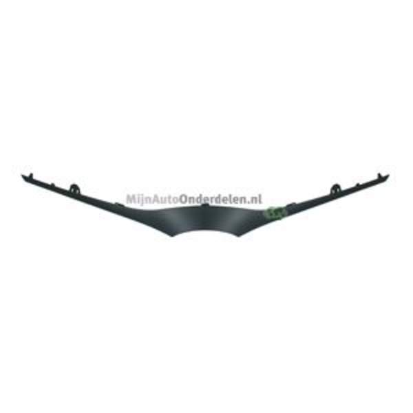 Grille Bodermann 8810355