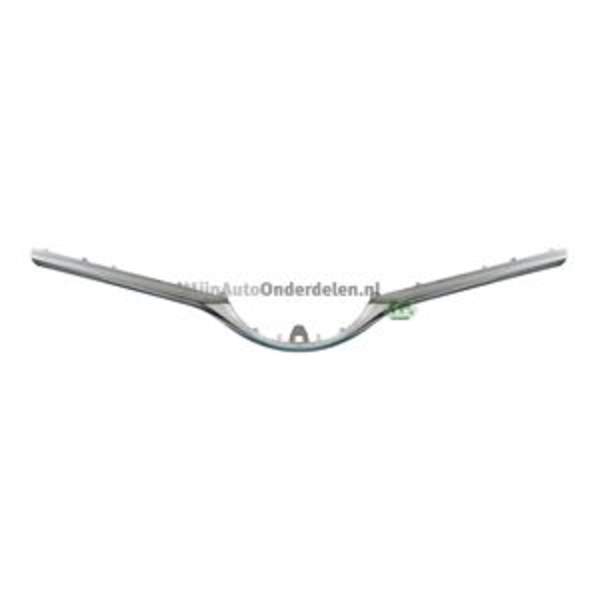 Grille Bodermann 8810360