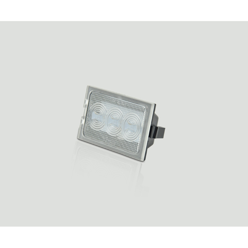 Mijnautoonderdelen LED Kentekenverlichting DL RRN01